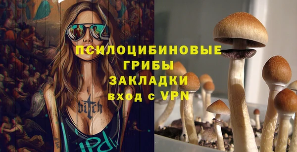дмт Володарск