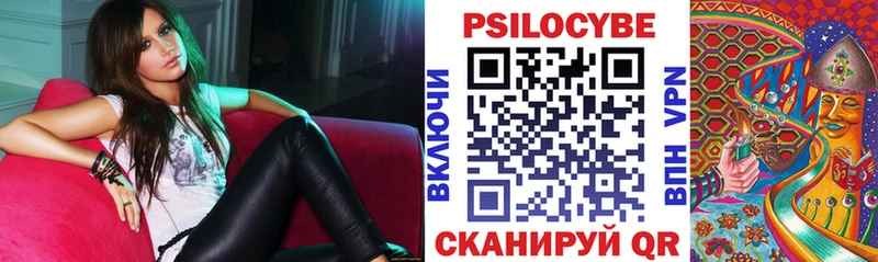 Купить закладки  Константиновск  Галлюциногенные грибы прущие грибы 